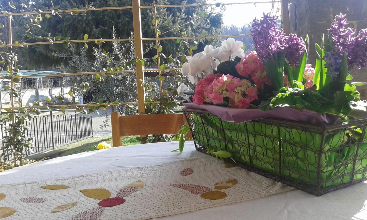 B&B Lori Côme Extérieur photo